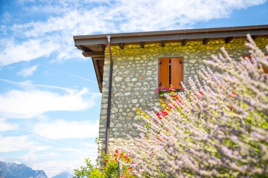 Italian finca, beautiful scenery with lavender blooms and blue sky