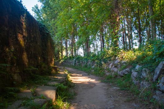 Part of the Way of St. James to Santiago de Compostela in Portugal.