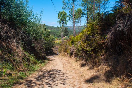 Old Roman road in the north of Portugal.