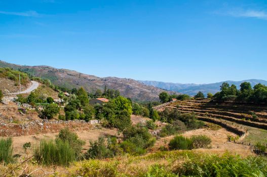 Scenery in the north of Portugal.