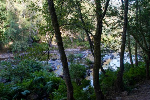 View on the river Paiva, Portugal.