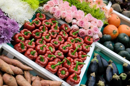 bell pepper vegetable flower fruit on shelf at market. agriculture produce for sale
