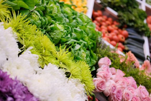chrysanthemum flower vegetable on shelf at market. agriculture produce for sale