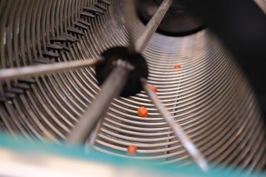 fresh red tomatoes in tomato size sorting machine