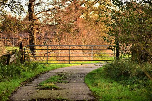 Pasture gate blocks a concrete road