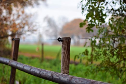 Close up of a pasture fence with insulators,blue braid and wooden slats