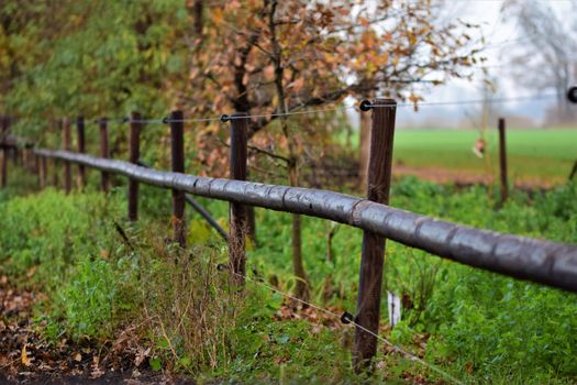 A pasture fence with insulators,blue braid and wooden slats