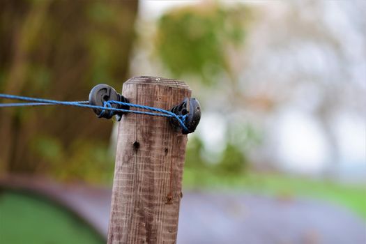 Close up of a willow post with insulators and blue braid against a blurred background