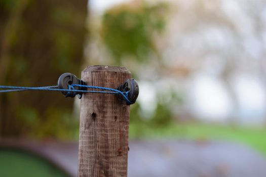 Close up of a willow post with insulators and blue braid against a blurred background