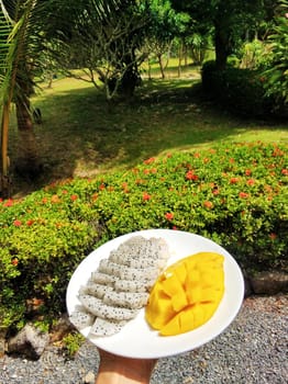 Tropical breakfast. Fruit plate in a tropical garden. Vitamin healthy breakfast.
