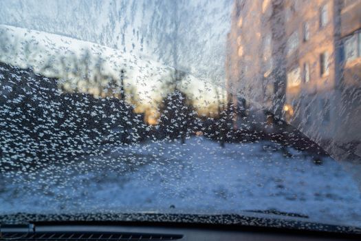 Morning car windshield with frost and snowflakes, view from inside. Close-up with selective focus.