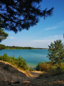 Natural landscape. A pond in a quiet secluded location.