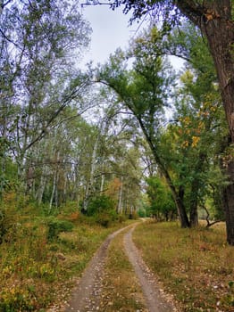 A picturesque country road in the village.