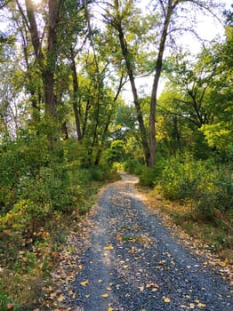 A picturesque country road in the village.