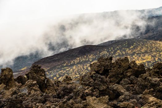 View of Etna volcano landscape among the clouds near Rifugio Sapienza. The typical summer vegetation and flowers partially cover the lava flow. Sicily, Italy