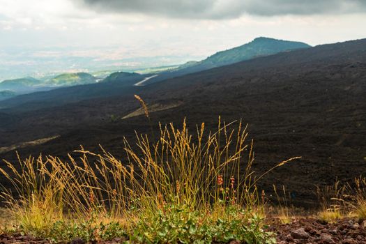View of Etna volcano craters among the clouds near Rifugio Sapienza. Sicily, Italy
