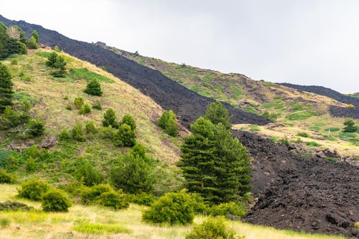 View of Etna volcano landscape among the clouds near Rifugio Sapienza. The typical summer vegetation and flowers partially cover the lava flow. Sicily, Italy