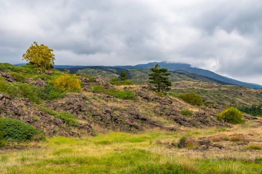 View of Etna volcano landscape among the clouds near Rifugio Sapienza. The typical summer vegetation and flowers partially cover the lava flow. Sicily, Italy