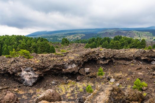 View of Etna volcano landscape among the clouds near Rifugio Sapienza. The typical summer vegetation and flowers partially cover the lava flow. Sicily, Italy