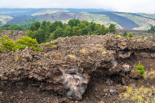 View of Etna volcano landscape among the clouds near Rifugio Sapienza. The typical summer vegetation and flowers partially cover the lava flow. Sicily, Italy