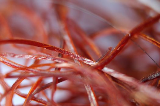 Macro photograph view of saffron with selective focus. Crocus sativus, commonly known as the "saffron crocus"