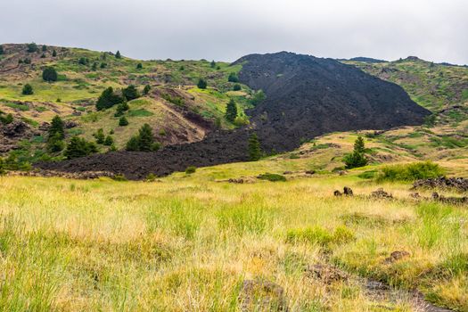 View of Etna volcano landscape among the clouds near Rifugio Sapienza. The typical summer vegetation and flowers partially cover the lava flow. Sicily, Italy