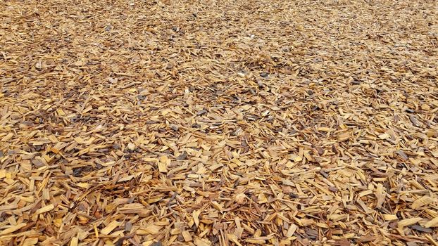 brown damp wood chips or mulch or barkdust on ground