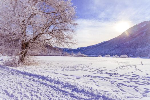 Idyllic winter landscape: snowy trees and fields, mountain range in background