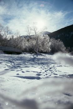 Idyllic winter landscape: wooden bridge and snowy trees, mountain range in background