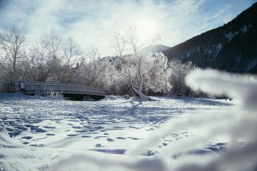 Idyllic winter landscape: wooden bridge and snowy trees, mountain range in background