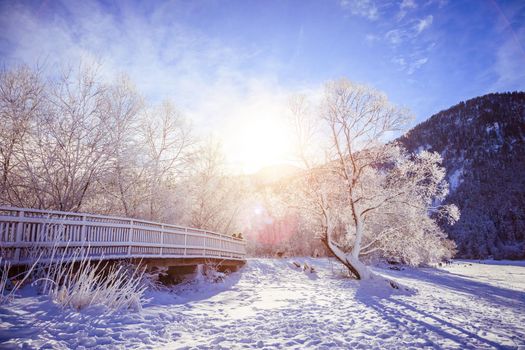 Idyllic winter landscape: wooden bridge and snowy trees, mountain range in background
