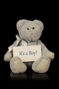An isolated teddy bear with the message congratulating a newborn baby boy.