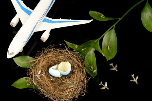 A conceptual image based on the idea learning to fly using airplanes and a bird nest.