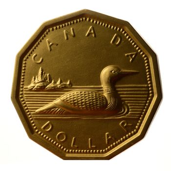 An isolated over a white background macro of a Canada Dollar legal tender which is known as the Loonie.