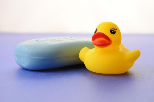 A blue bar of soap and rubber duck remind us to wash our hands.