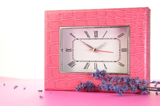 A closeup view of a pink alligator clock with some accent lavender over a pink and white background.