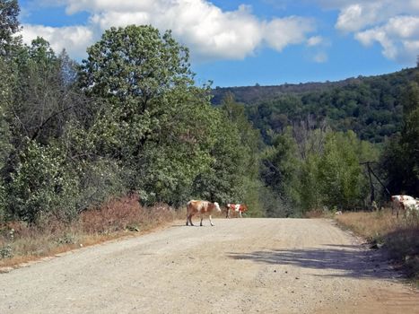 The Beloretsky tract. Nature is in the way of the Beloretsky tract. Roads and landscape.