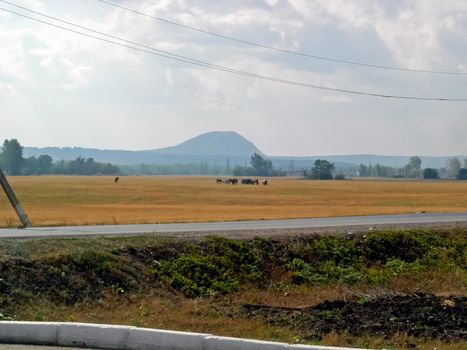 The Beloretsky tract. Nature is in the way of the Beloretsky tract. Roads and landscape.