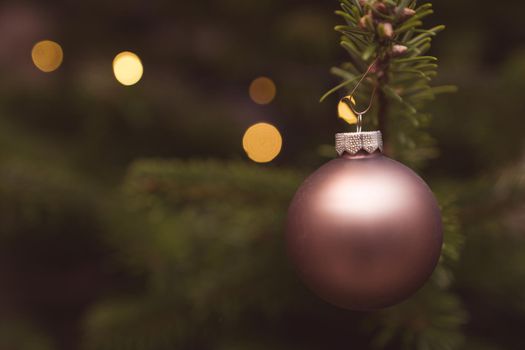 festive decoration on the Christmas tree.