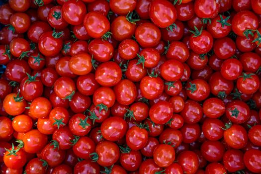 background from red ripe tomatoes grown without chemistry.