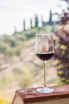 Enjoying a glass of red wine at Tuscany, Italy. Blurry wine yards in the background.