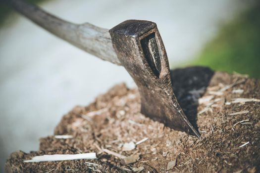 Old axe attached to a tree trunk, alpine hut