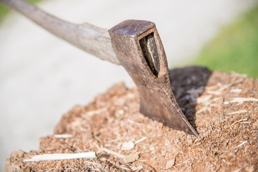 Old axe attached to a tree trunk, alpine hut