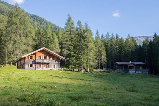 Mountain chalet in Austria: Idyllic landscape in the Alps