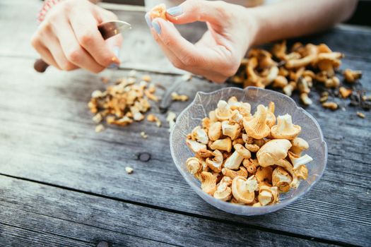 Preparing chanterelle mushrooms on an old rustic wooden table