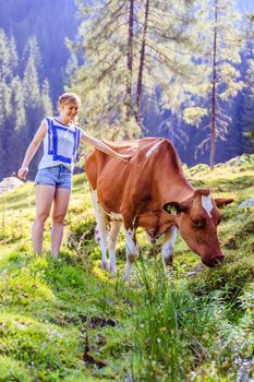 Young woman is stroking a cow, idyllic nature landscape