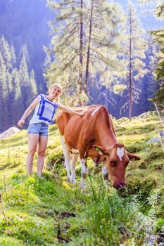 Young woman is stroking a cow, idyllic nature landscape