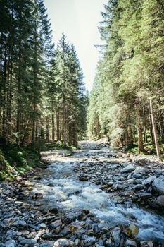 Beautiful river and forest landscape in the Alps, Austria