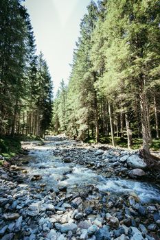Beautiful river and forest landscape in the Alps, Austria
