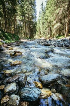 Beautiful river and forest landscape in the Alps, Austria